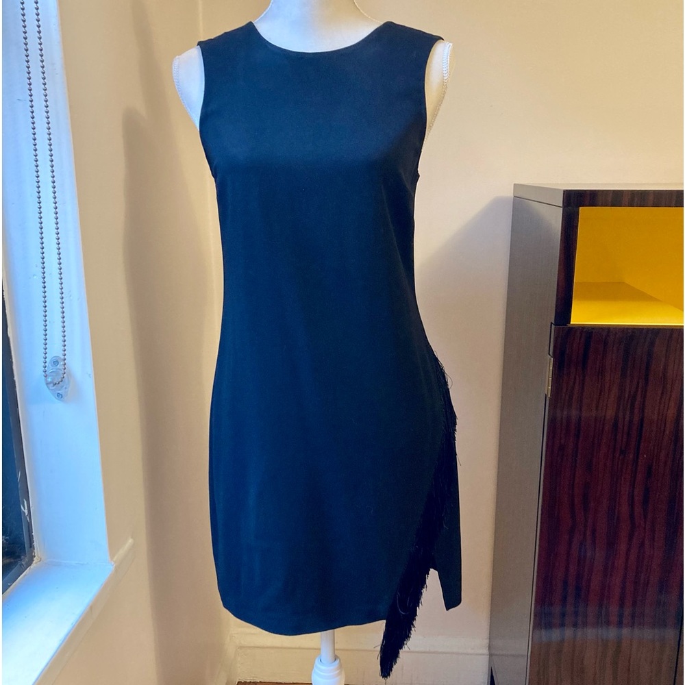 ALC cocktail dress with fringe.